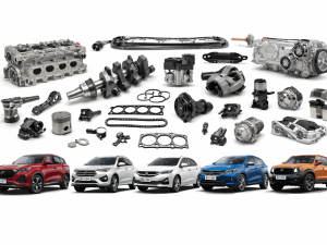 Genuine BYD Front Mud Guard 1017120