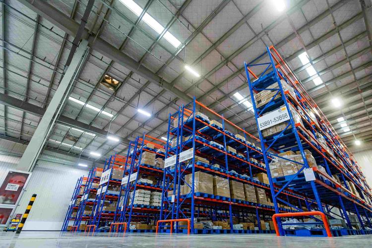 China’s EV Market Boom: Domestic Brands Lead the Charge